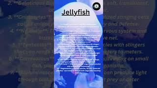 learn with mephylum cnidariajellyfish characteristics shorts ytshorts [upl. by Ecirtap]