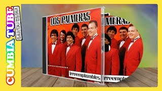 Los Palmeras  Irremplazables  Disco Completo Cumbia Tube Santafesina [upl. by Ardine]