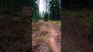 Collecting bike bros 181000 mtb mtblife sendit adrenaline downhill nature forest [upl. by Delmore115]