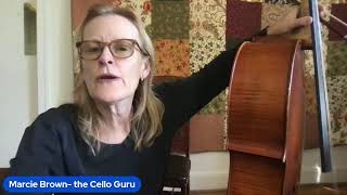 Learn Music Theory on the Cello in 30 Minutes [upl. by Hauhsoj]