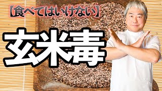 【ご飯の新常識】玄米毒！ [upl. by Stodder]