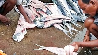 How T0 Boneless Giant Fish Fishes Without Thorns Less Fish [upl. by Araas]