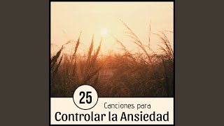 25 Canciones para Controlar la Ansiedad [upl. by Magavern839]