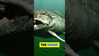 The Goblin Sharks Eerie Superpower factsocean deepsea sharks [upl. by Linis]