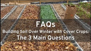 Cover Crop FAQ Building Soil Over Winter [upl. by Leumas]