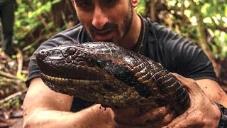 Man Gets EATEN ALIVE By Anaconda  Whats Trending Now [upl. by Beata]