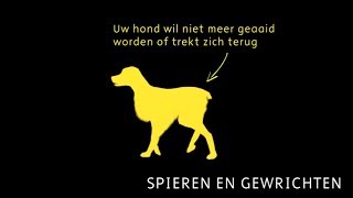 Heeft jouw hond last van problemen met zijn spieren of gewrichten Wat kan hier aan doen [upl. by Jana]