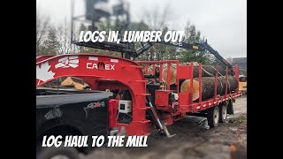 Hauling Logs to the Sawmill with Camex Log Loader Trailer  Logs In Lumber Out [upl. by Benoite]