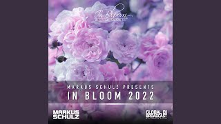 Fade Away In Bloom 2022 [upl. by Ephrayim]