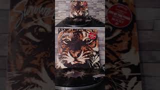 survivor eye of the tiger rock vinyl record music musica 80smusic rockmusic vinylover [upl. by Ahserkal]