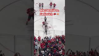 Kurtis MacDermid vs Jonah Gadjovich HockeyFights Devils Panthers [upl. by Abdu]