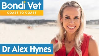 Meet New Bondi Vet  Alex Hynes [upl. by Undis]