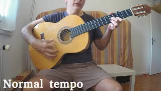 Gipsy Kings  quotVolarequot Tutorial   Cover [upl. by Renat]