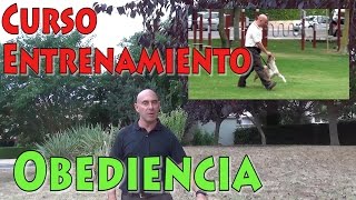 Adiestramiento Canino en Obediencia Entrenamiento Básico para Perros versión para celular [upl. by Preston]