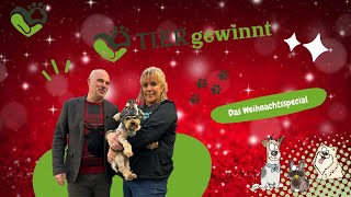 Folge 26  Das Weihnachtsspecial [upl. by Godart872]