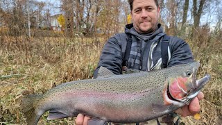 Steelhead Fishing Wisconsin [upl. by Aceissej]