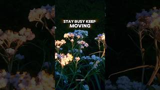 Stay busy and keep moving motivation successqoutes quotes personalitytrait facts dailygoals [upl. by Roxana]