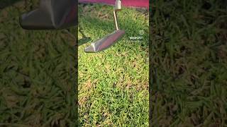 PING Anser 3 restoration VA Shaft golf golfr putter ping thrifting diy [upl. by Gayn391]