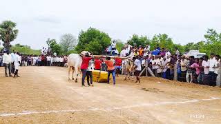 2Batthula Balaraju amp Sayyad kalam bhasam gari combine senior Bulls Kammavaripalem [upl. by Hitchcock]