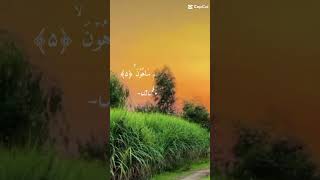 ❤️surah Al maun❤️ [upl. by Semaj]