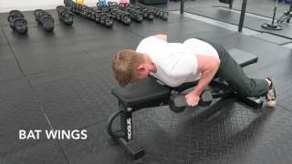 Bat Wing Rows Exercise Tutorial [upl. by Aja]