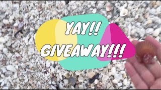 ♡ GIVEAWAY♡ Come with me to the Shell Pile [upl. by Waylen]