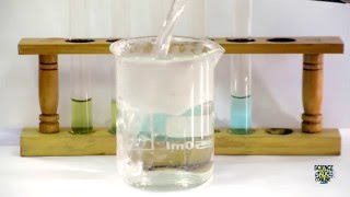 Food Tests  Iodine Biuret Benedicts Ethanol DCPIP [upl. by Fosdick]