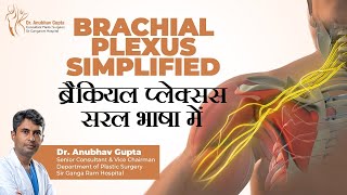 Brachial Plexus Simplified  Dr Anubhav Gupta [upl. by Tnelc]