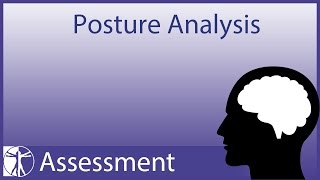 Posture Analysis updated version in description [upl. by Acirea]