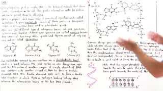 Decode from DNA to mRNA to tRNA to amino acids [upl. by Ffej593]