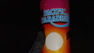 Pacific Paradise Fountain By Showtime [upl. by Abate]