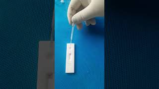 live pregnancy testpregnancy test nagativeshort vedio👍♥️ [upl. by Nawat]