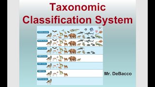 Taxonomic Classification [upl. by Judith]