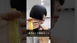 《ヘアカット》は美容業界において最も難しい技術です。美容師 美容室 カット動画 ボブ 切りっぱなしボブ タッセルボブ [upl. by Afihtan]