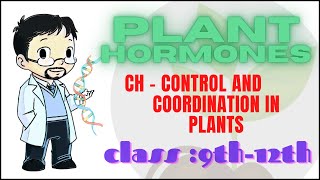 PLANT HORMONES  TOPIC EXPLANATION FOR CLASS 9th TO 12th  techstudyhub [upl. by Steward]