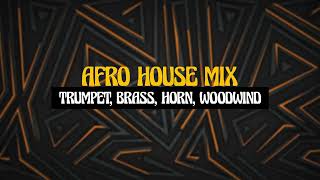 AFRO HOUSE MIX I TRUMPET BRASS HORN WOODWIND [upl. by Carlin]