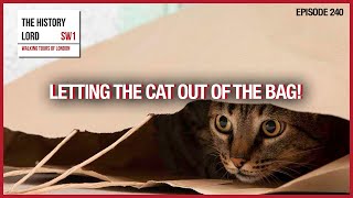 Letting The Cat Out Of The Bag  The Origins Of Phrases [upl. by Edsel211]