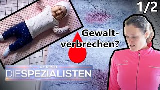 Rätsel um schreiendes Baby Wohin sind die Großeltern verschwunden  12  Die Spezialisten  SAT1 [upl. by Dualc]