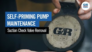 SelfPriming Pump Maintenance  Suction Check Valve Removal [upl. by Esirahs]