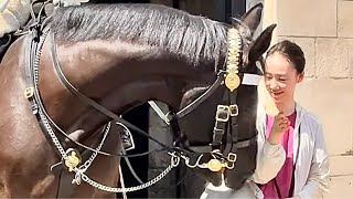 quotMajestic Moments A Spectacular Day with Regal Horses at Horse Guardsquot [upl. by Marne454]