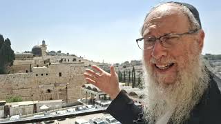 Rabbi Ephraim Kirshenbaum Head Bet Shemesh Rabbi by the Kotel about Bet Hamikdash [upl. by Nakasuji127]