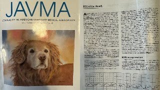 Isorhythmic atrioventricular dissociation in a cat with hypertrophic cardiomyopathy  Univ of Penn [upl. by Kiraa]