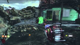 Black Ops 2 NO Denizens GLITCH on TranZit FOG MONSTERS [upl. by Oah]