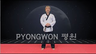 PYONGWON poomsae [upl. by Goldston564]