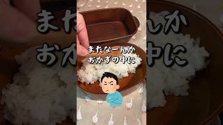 【お弁当作り】娘が作るお父さんと自分のお弁当shorts お弁当 [upl. by Nicholle]