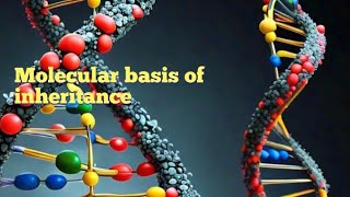 MOLECULAR BASIS OF INHERITANCE CHAPTER 6 CLASS 12TH FOR BOARD NEET AND COMPETITIVE EXAMS [upl. by Nnaeirb788]