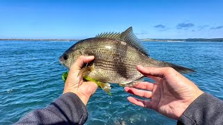 Fishing at Coos Bay South Jetty Oregon [upl. by Michelsen]