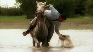 Mi Caballo y yo  Cholo Valderrama [upl. by Almund]