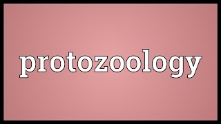 Protozoology Meaning [upl. by Ainival849]