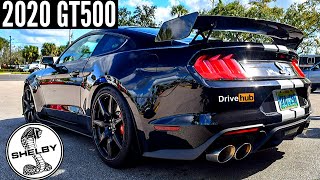 The 2020 Shelby GT500 Sounds AMAZING 2020 GT500 Startup amp Revs  DriveHub [upl. by Sral941]